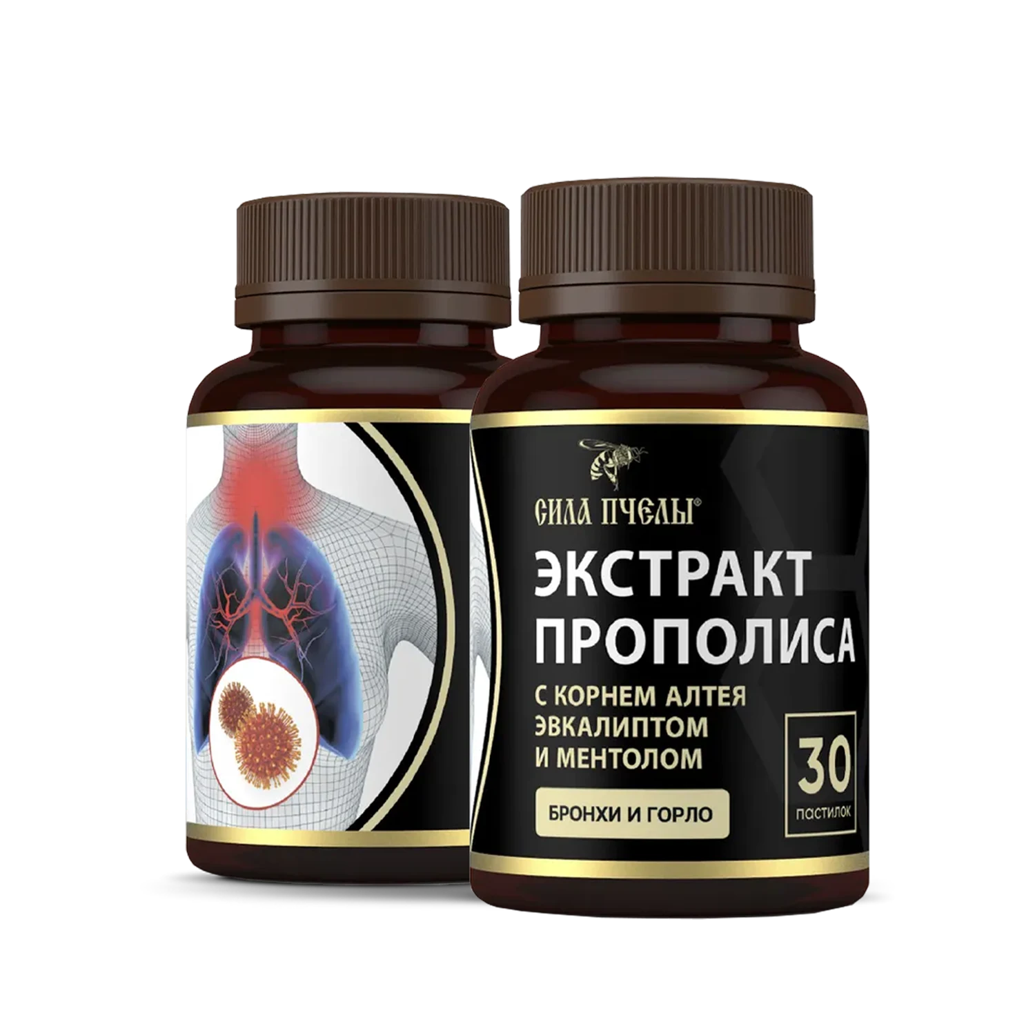 ჯანმრთელი ბროქნები