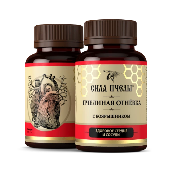 ჯანმრთელი გული